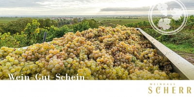 Wein-Gut-Schein 25 EURO